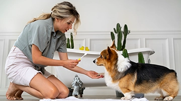 Person feeding dog in bathroom