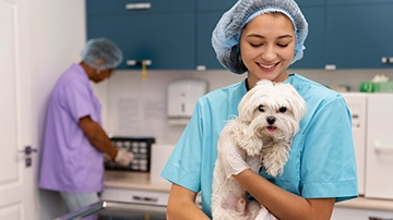 Veterinarian holding a small dog.