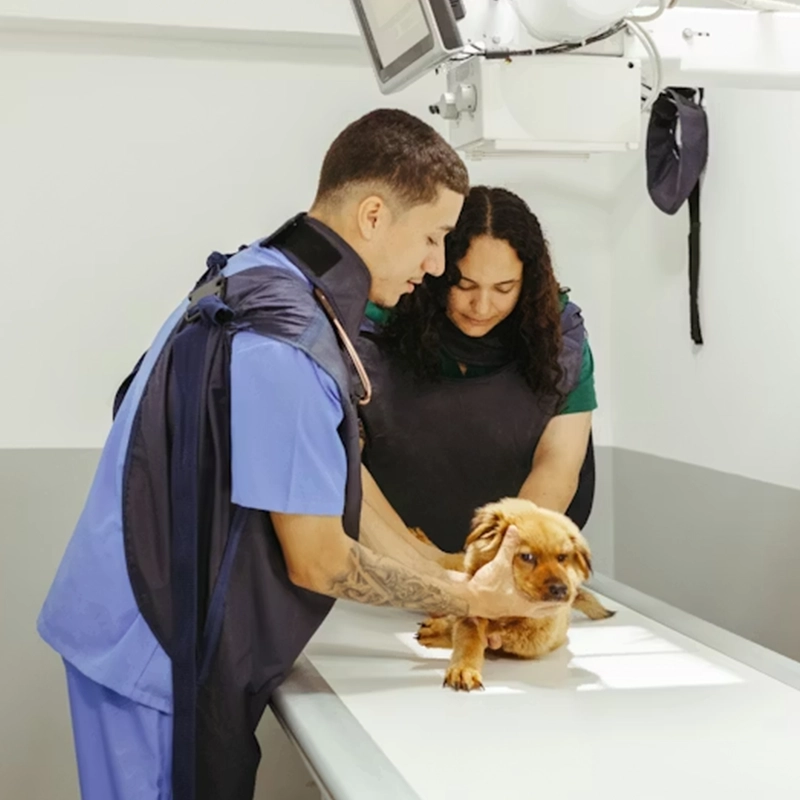 at-home pet diagnostics