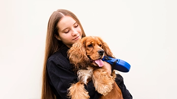 Person holding a dog with leash.