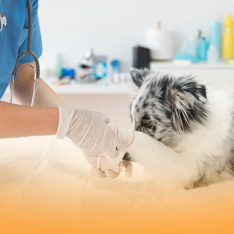 mobile wellness care